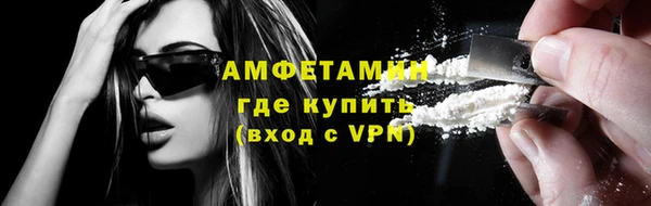 шишки Гусь-Хрустальный