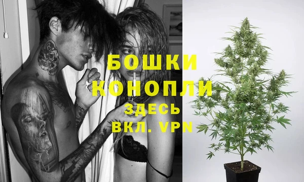 соль ск Гусиноозёрск