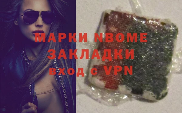 шишки Горно-Алтайск