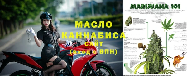 хмурый Горняк