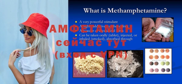 шишки Горно-Алтайск