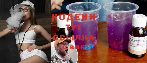 шишки Горно-Алтайск