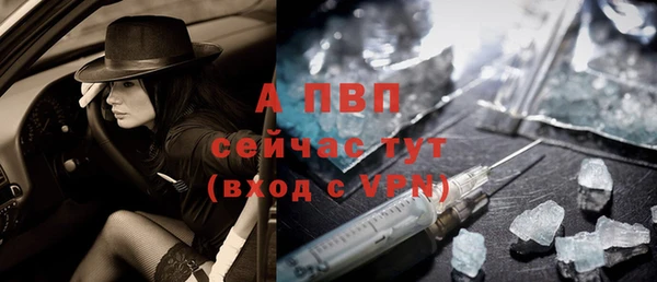 шишки Гусь-Хрустальный