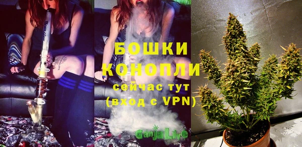 хмурый Горняк
